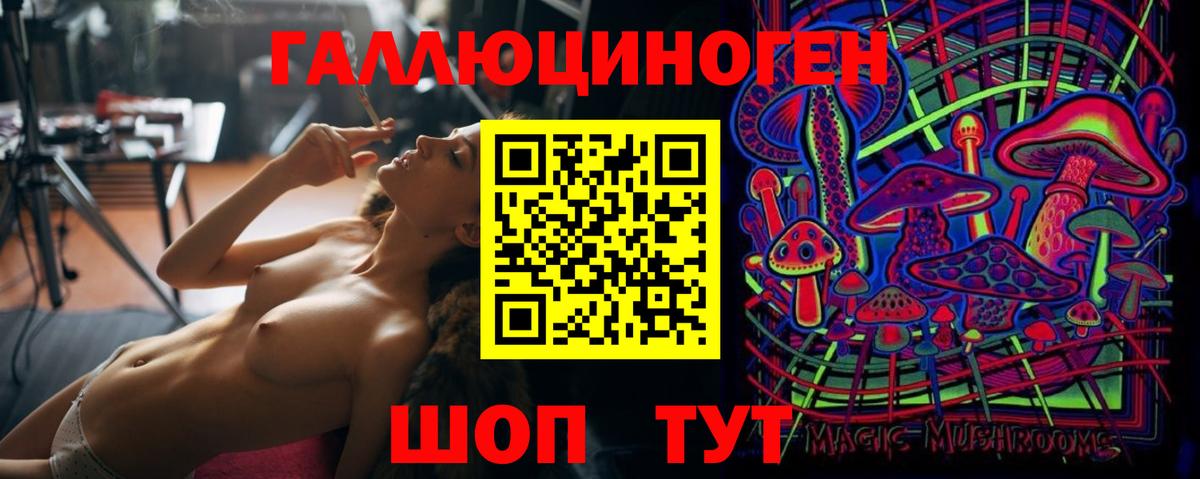 Псилоцибиновые грибы GOLDEN TEACHER  купить закладку  Россия  Вход с VPN 