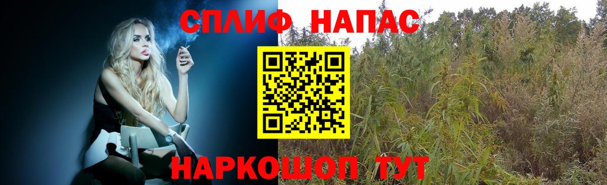 Каннабис конопля Россия